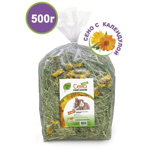 ���� ���� �������� ��� �������� � ��� �������� � ���������� 500��, ������ ������