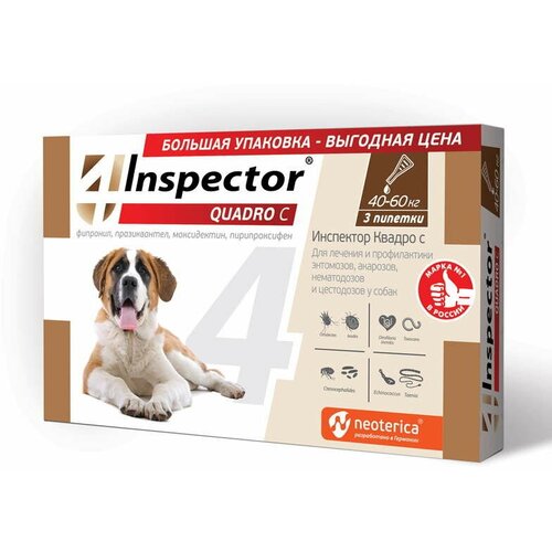  Inspector      Quadro       40  60  3 .  ., 1 .   -     , -  