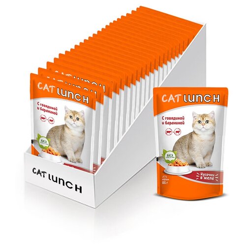      Cat Lunch      ,   85 (24 .  )   -     , -,   