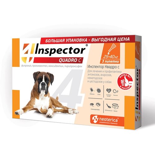  Inspector      Quadro   25  40       25  40  3 .  ., 1 .,  