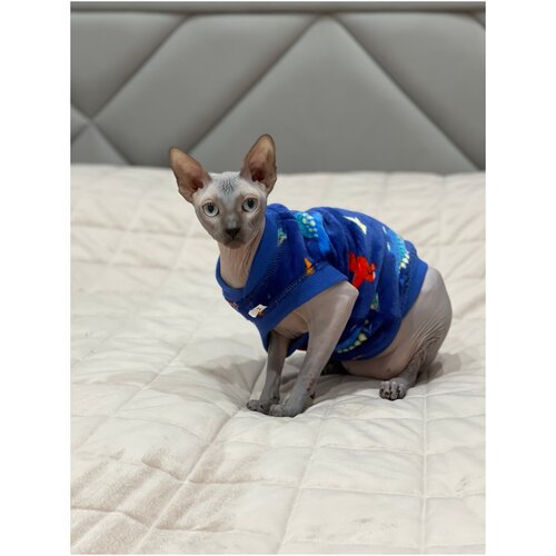 ���� ����� ��� �����, �����������, �, ������ ������