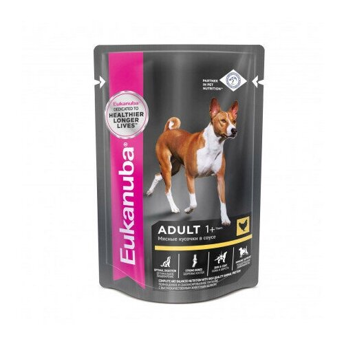    Eukanuba         , 100 , 48 .   -     , -  