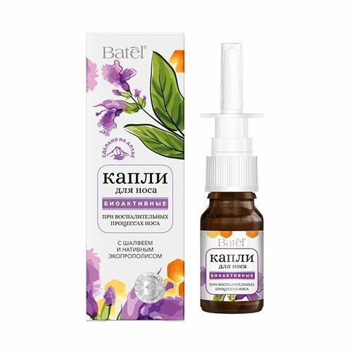 ���� ����� ��� ���� ����������� � ������� � ������������� Batel 10 ��, ������ ������