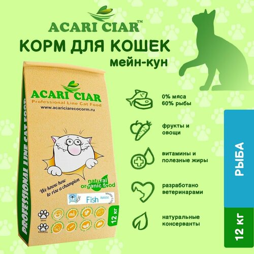      Acari Ciar A`Cat MAINE COON Fish 12      -     , -  