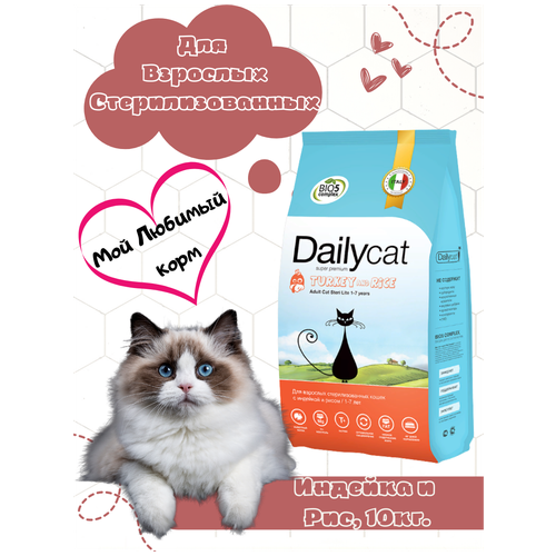    Dailycat          1,5 