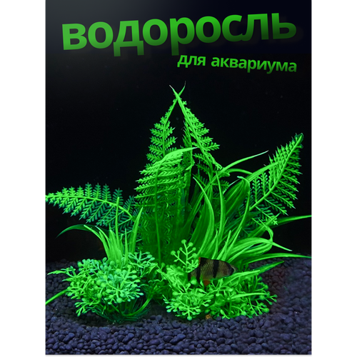 ���� �������� � �������� ������������� ���������, ������ ������