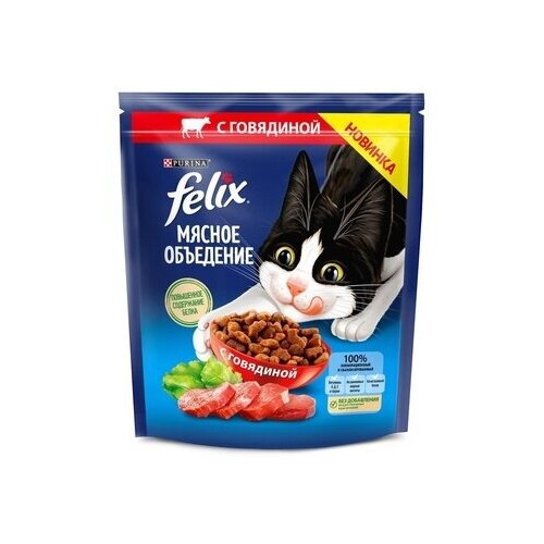  Felix        (12455364) 0,6  52747 (10 )   -     , -,   