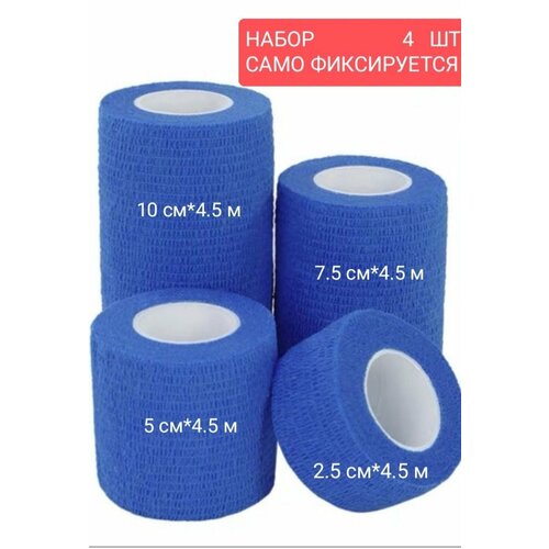 ���� ���� �����������������. ����� 4 ��. ���� ������-�������, ������ ������