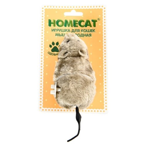  HOMECAT   715  (0.05 ) (5 )