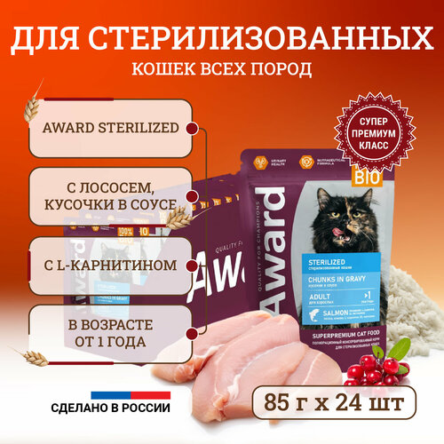       Award Sterilized Chunks in Gravy Adult Salmon  ,   ,   - 85   24    -     , -  