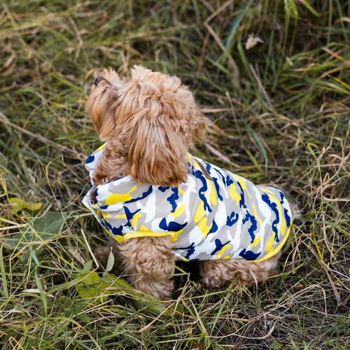 ���� ���������� ��� �����, 