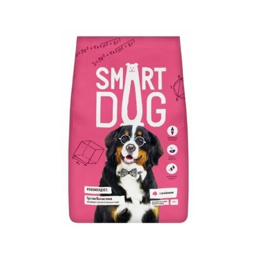  Smart Dog      ,     -     , -,   
