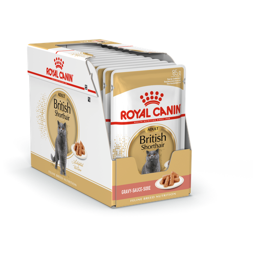     Royal Canin British Shorthair Adult (  )     , , 24x85   -     , -  