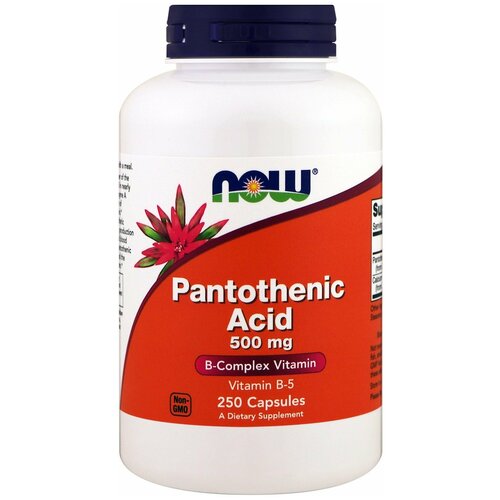  Pantothenic Acid ., 500 , 400 , 240 , 250 .   -     , -  