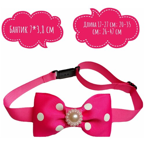 ���� ������� ������� ��� ����� � �����, ����� ������ ����� � ������� �����, ������ ������� ��� �������� 17-27 ��, ������ ������