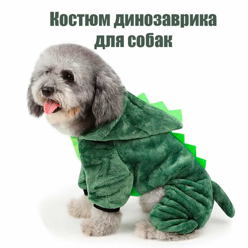 ���� ������ 