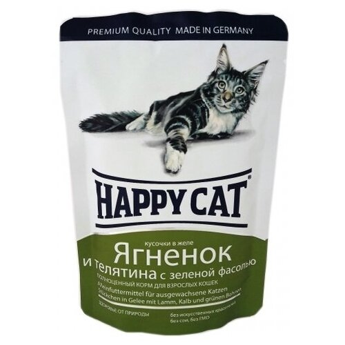      Happy Cat  -  -  , 100  - 24 .   -     , -,   