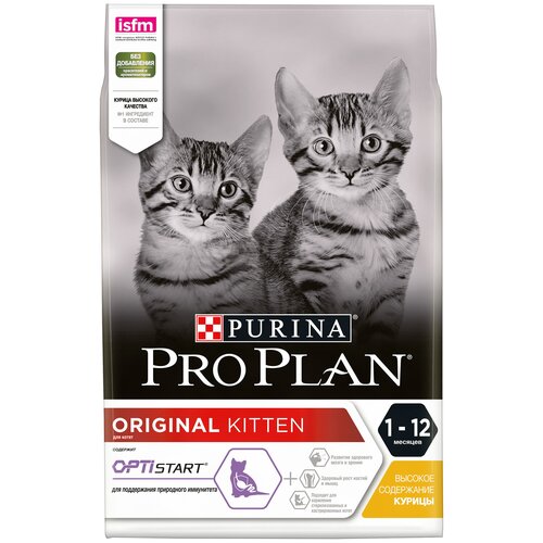    Pro Plan    ,     3   4    -     , -,   