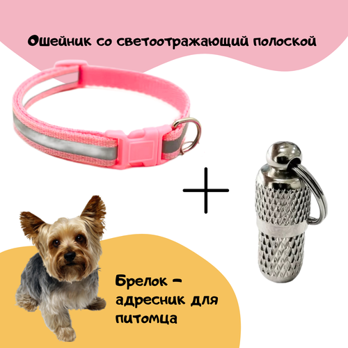      PET STUFF      -     , -  