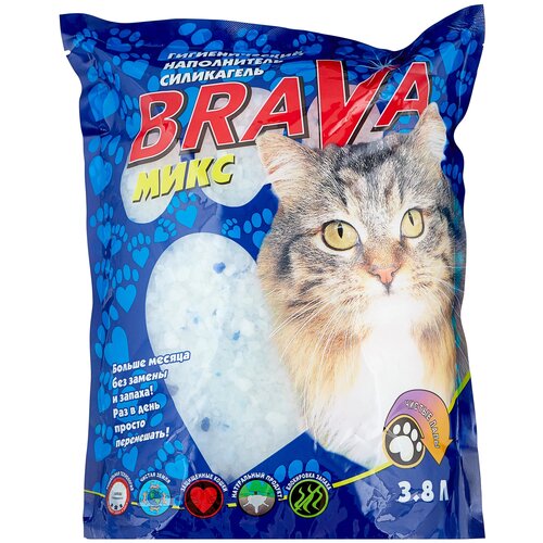    Brava , 3.8, 1 .   -     , -  