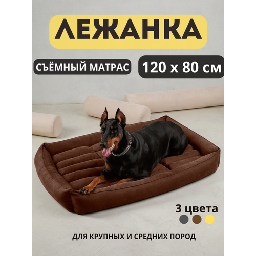 ���� ������� ��� ������� � ������� ����� ����� 120*80 ��, ������ ������