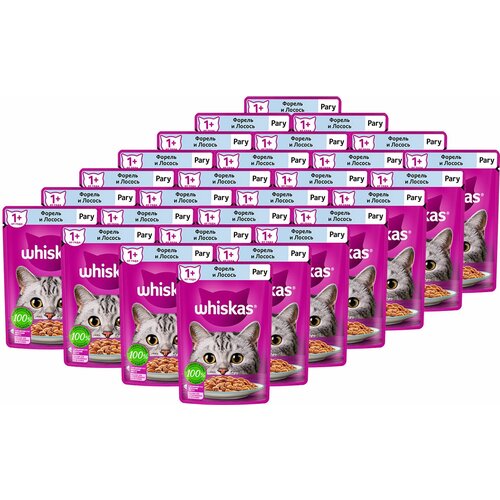  WHISKAS         (75   28 )   -     , -,   