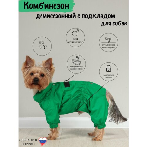 ���� ���������� ��� ����� Yoriki 