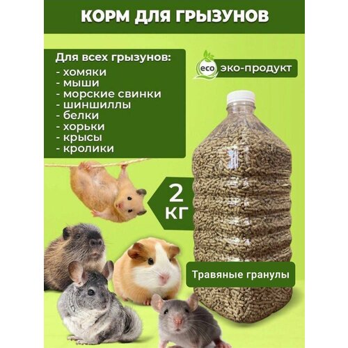 ���� ���� ����� 2�� �������� ������� ��� �������� � ��������, ������ ������