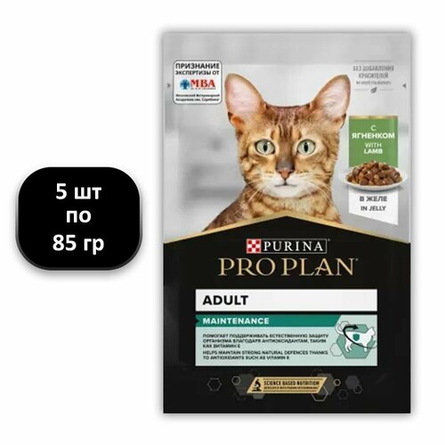  (5 .) 85 , Purina, PRO PLAN, Adult, Maintenance,   (),   , 