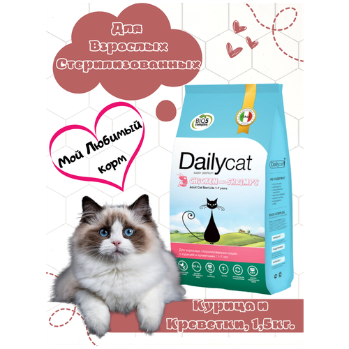    Dailycat          0,4    -     , -,   