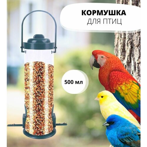 ���� �������� ��� ���� ���������, ������ ������