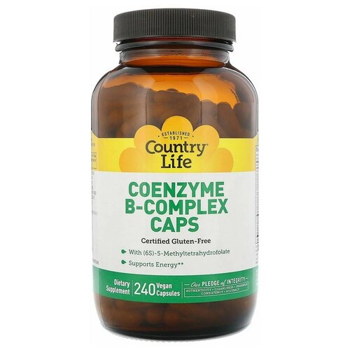   Country Life oenzyme B-complex, 240 .   -     , -  