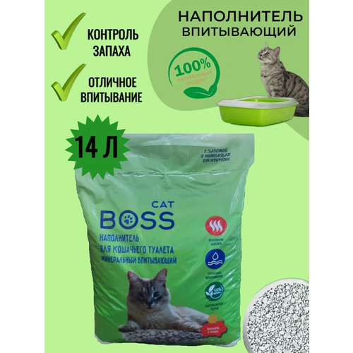    Cat Boss  ,  14     -     , -  