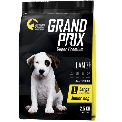         GRAND PRIX Large Junior  , 12    -     , -,   