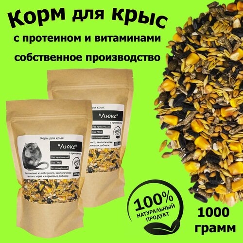 ���� ���� ��� ���� � ��������� 