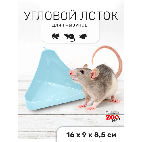 ���� Zooexpress ������ ����� ��� �������� ������� � ������ 16�9�8,5 �� (������-�������), ������ ������