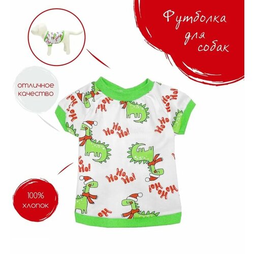 ���� �������� ��� �������� OSSO 