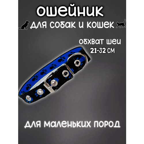 ���� ������� 