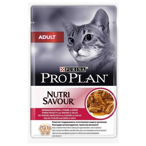    Pro Plan  ,   , 85    -     , -,   