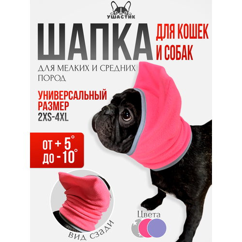 ���� �����-���� 