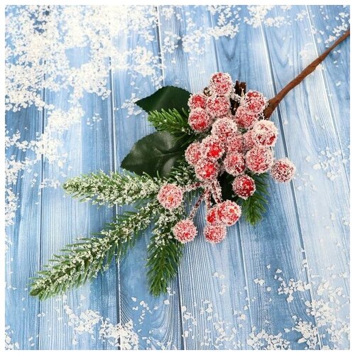 ���� ����� 