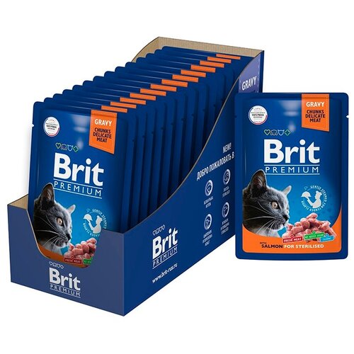  Brit Premium         85   -     , -,   