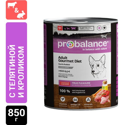      ProBalance Gourmet Diet, ,  1 .  1 .  850    -     , -  