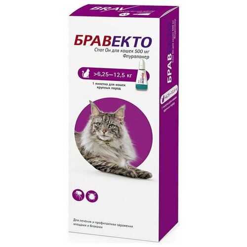 ���� �������� ���� �� ����� �� ����� ��� ����� 6,25-12,5 �� 500 ��, ������ ������