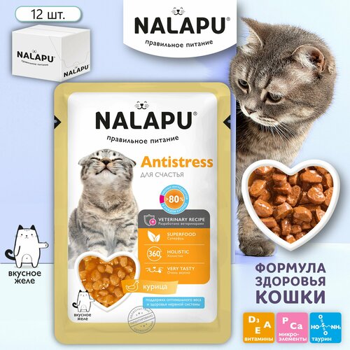      NALAPU Antistress      ,          , 12 .  77 .   -     , -  