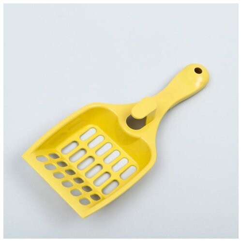 ���� ����� ��� ��������� ������� 22,5 x 9,5 x 4 ��, ������-�����, ������ ������