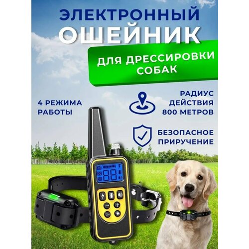 ���� ����������� ������� ������� ��� ����������� ����� ������� �������, ������ ������