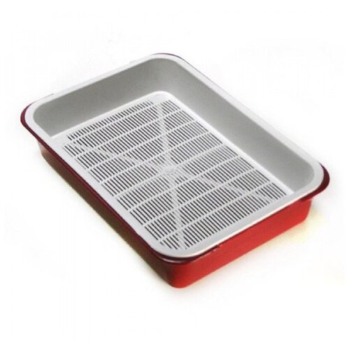 ���� ������ ���� �������� ��� ����� (38 � 27,5 � 8 ��, � ������������), ������ ������