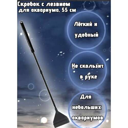 ���� ������� � ������� ��� ���������, 55 ��, ������ ������