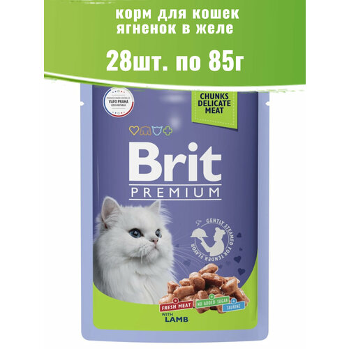  Brit Premium 28  85    ,      -     , -  